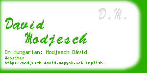 david modjesch business card